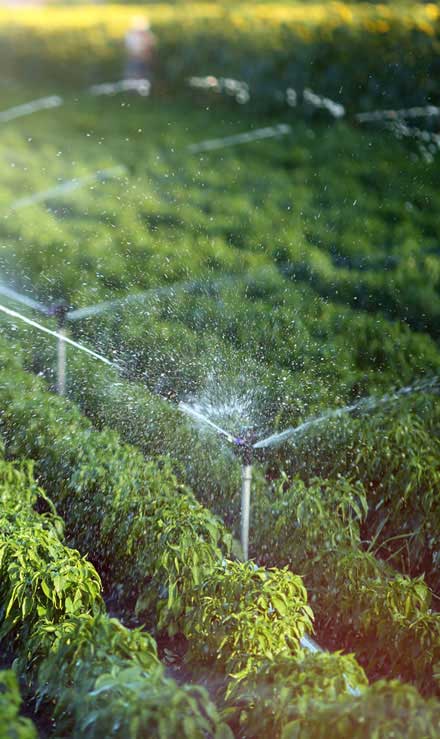 Nobel Green Landscaping & Property Preservation LLC Irrigation System Repair