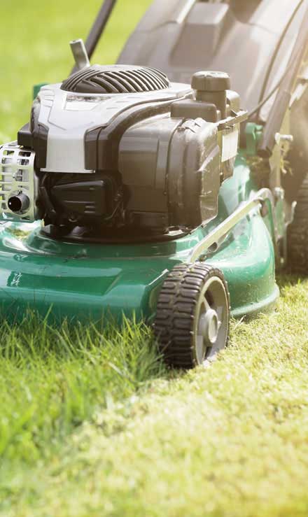 Nobel Green Landscaping & Property Preservation LLC Residential Lawn Mowing