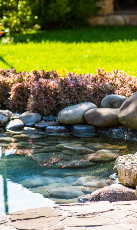 Nobel Green Landscaping & Property Preservation LLC Residential Water Features